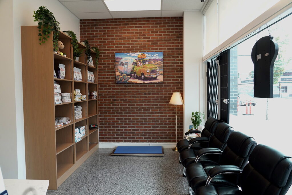 Client waiting area at Brentwood Animal Hospital in Burnaby