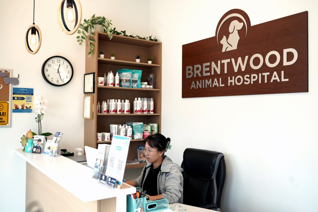 Client care team at the front desk of Brentwood Animal Hospital in Burnaby