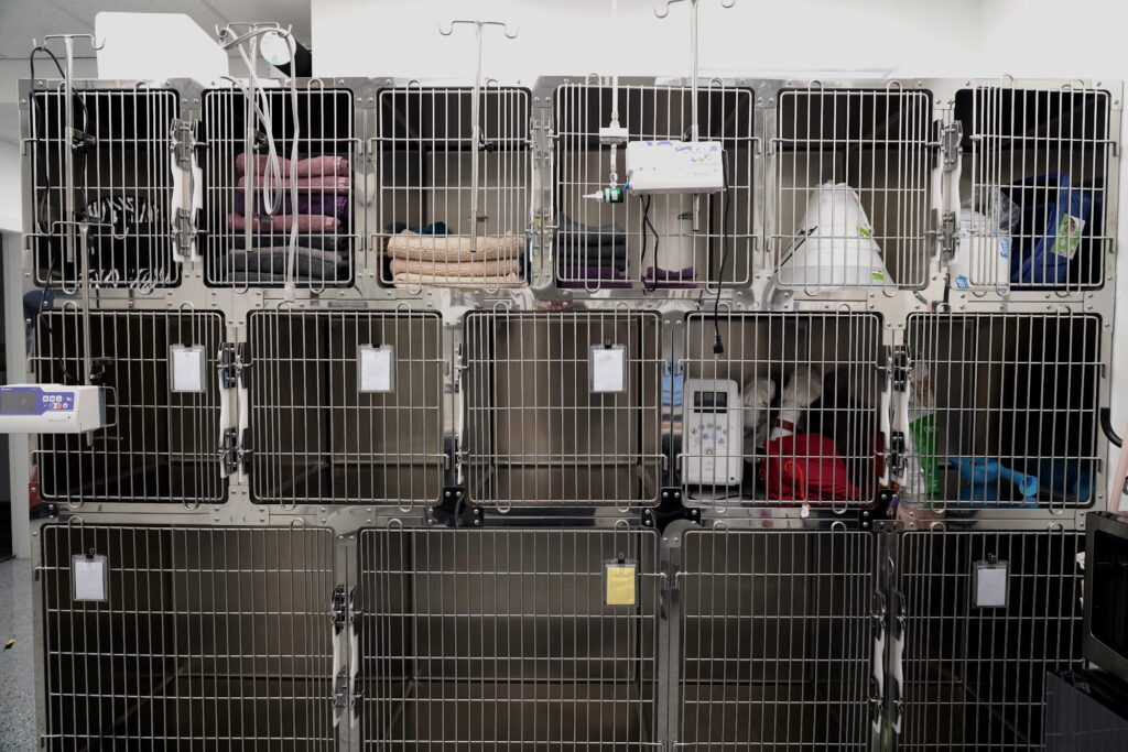 Hospitalisation kennels at Brentwood Animal Hospital in Burnaby
