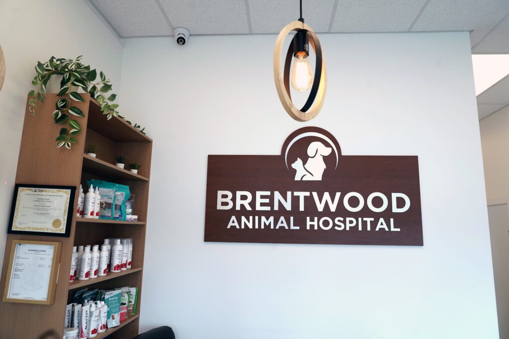Reception logo wall at Brentwood Animal Hospital in Burnaby