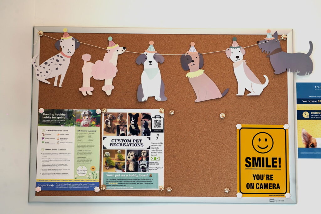 Patient photo wall at Brentwood Animal Hospital in Burnaby