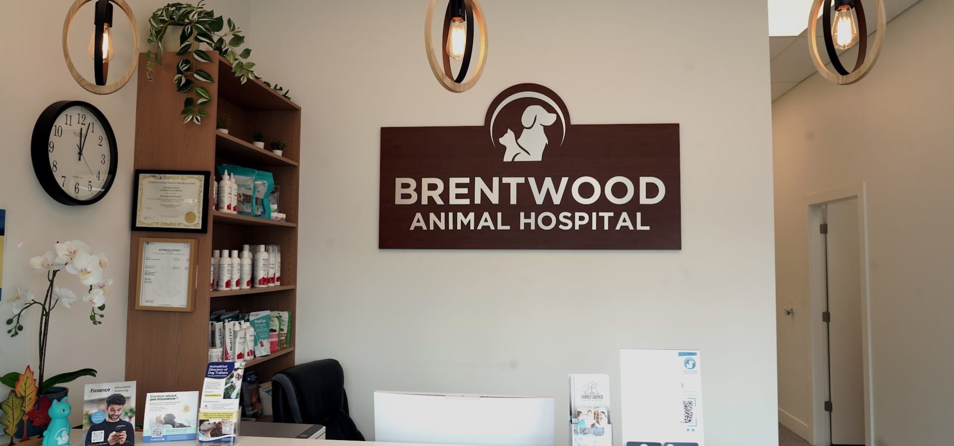 Reception desk and front lobby at Brentwood Animal Hospital in Brentwood, Burnaby