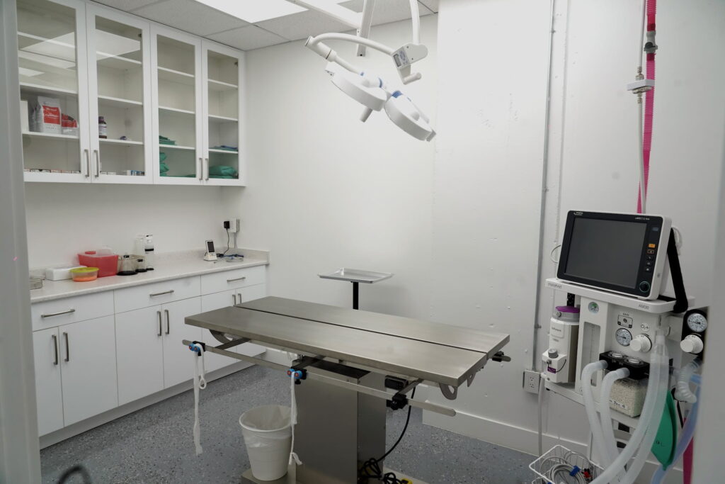 Surgical suite at Brentwood Animal Hospital in Burnaby